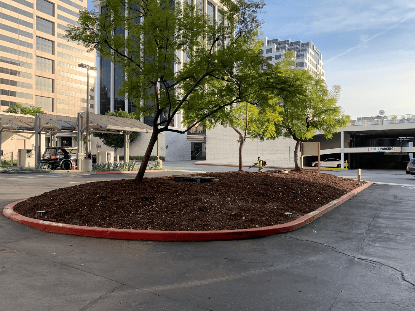 ph landscaping 9