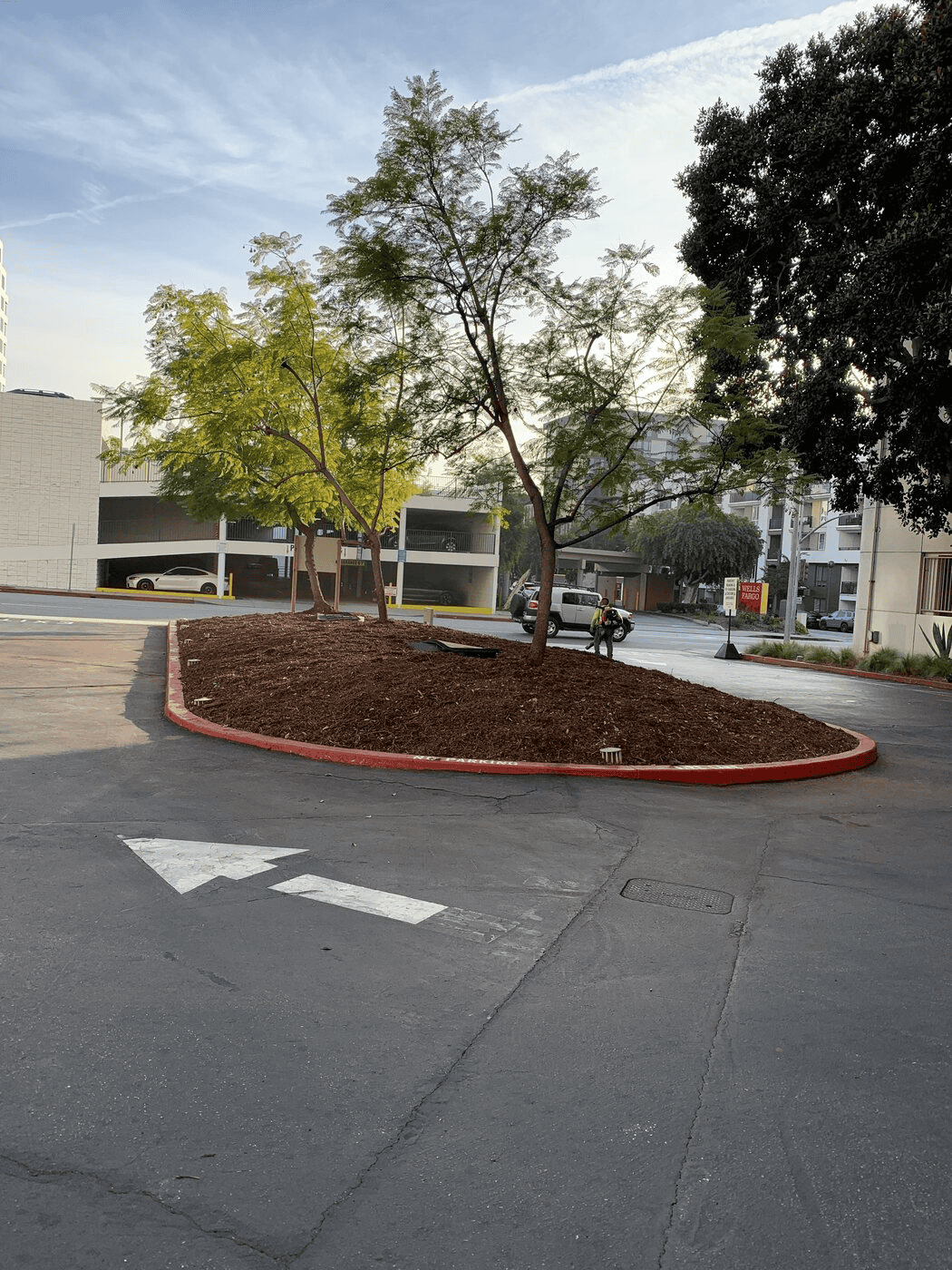 ph landscaping 2